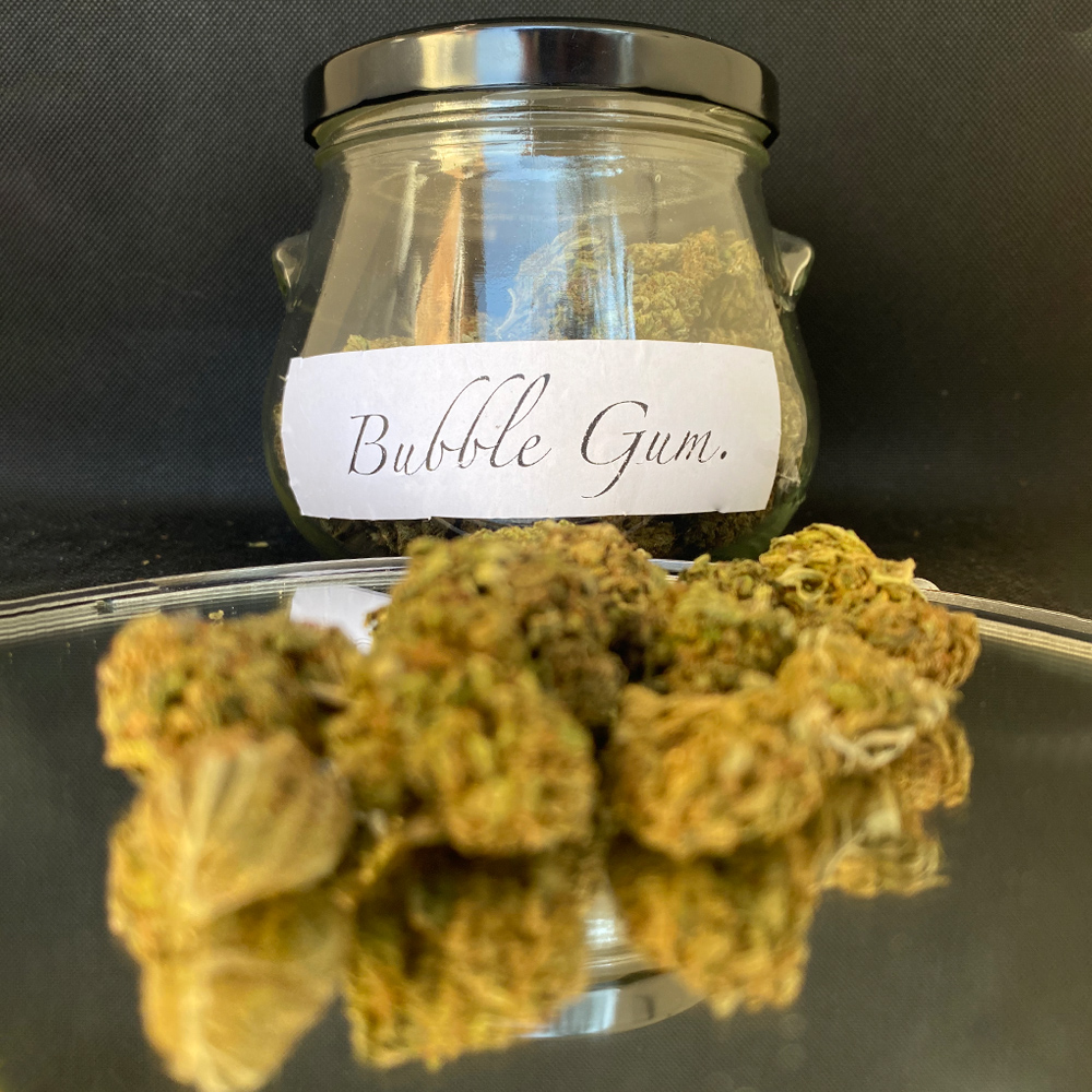 Bubble Gum Cannabis Light