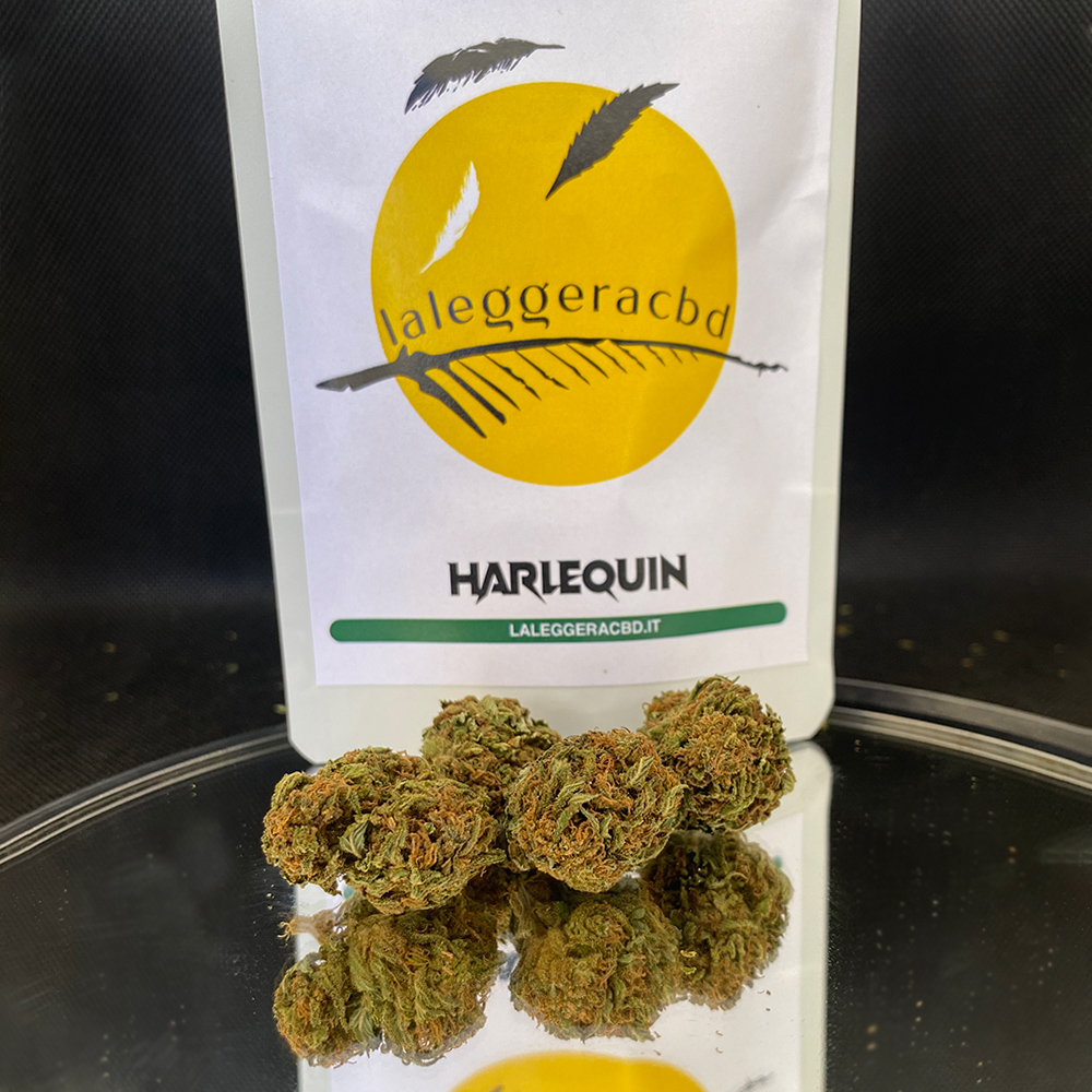 harlequin cannabis light