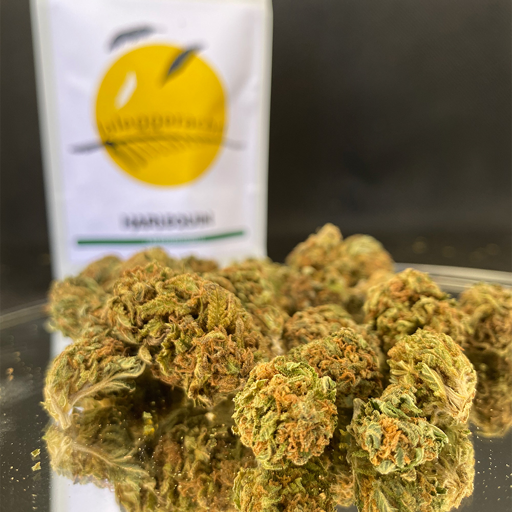 harlequin cannabis light