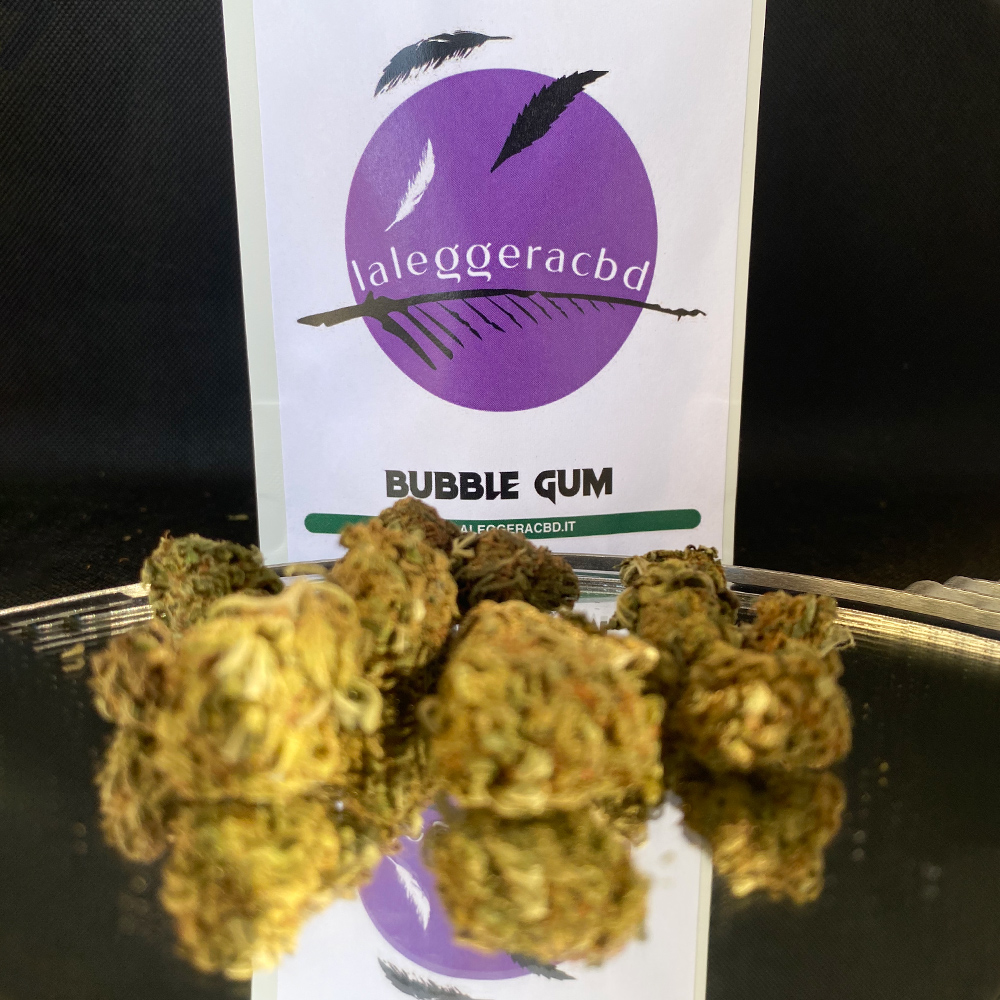 Bubble Gum Cannabis Light