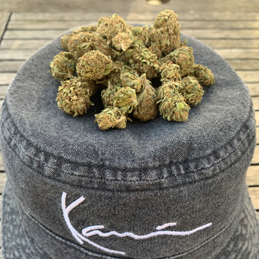 harlequin cannabis light