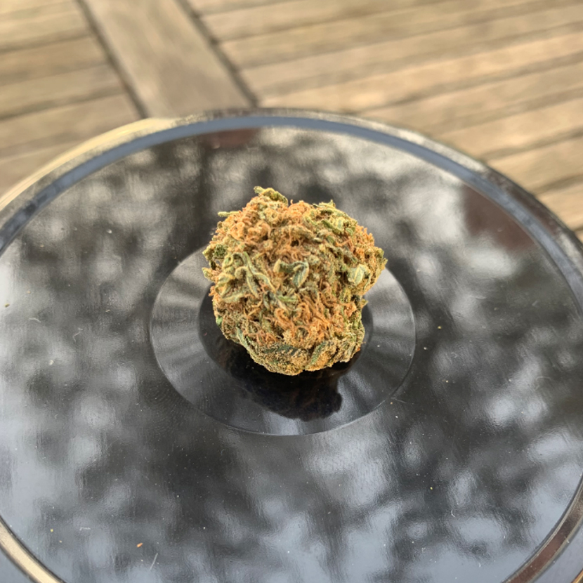 harlequin cannabis light