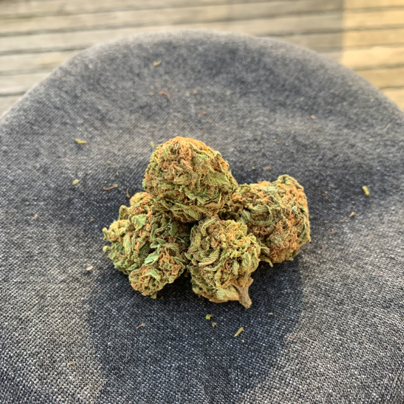 harlequin cannabis light