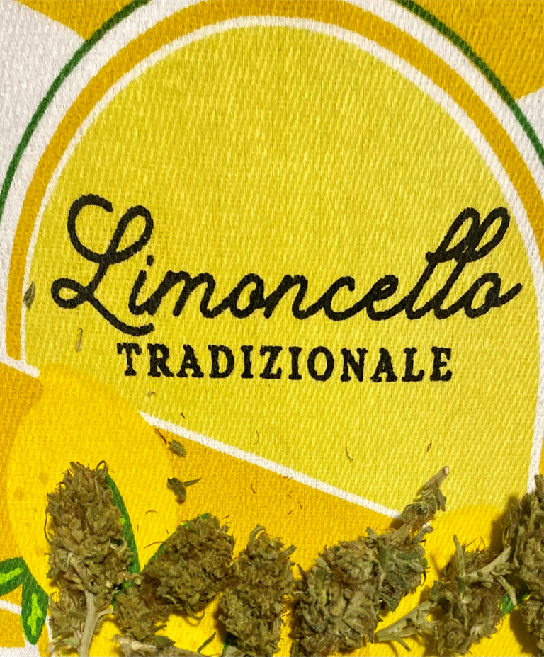 Limoncello la tradizione laleggeracbd