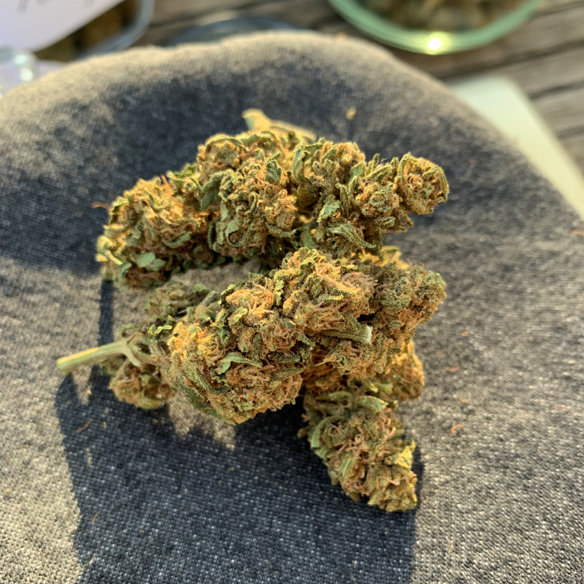 remedy cannabis light