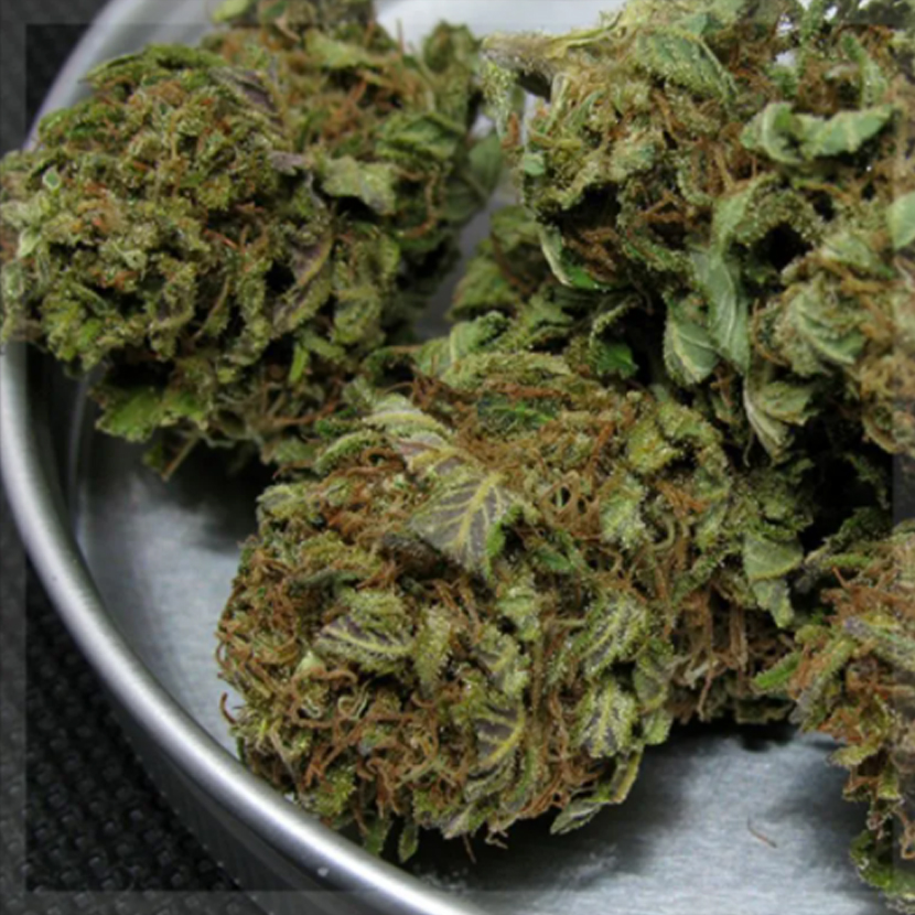 white widow